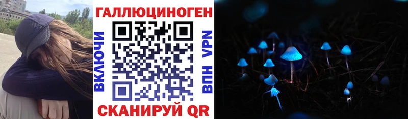 Псилоцибиновые грибы Psilocybe  Семёнов 